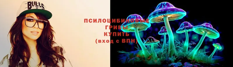 Псилоцибиновые грибы MAGIC MUSHROOMS  купить наркотики сайты  Кушва 